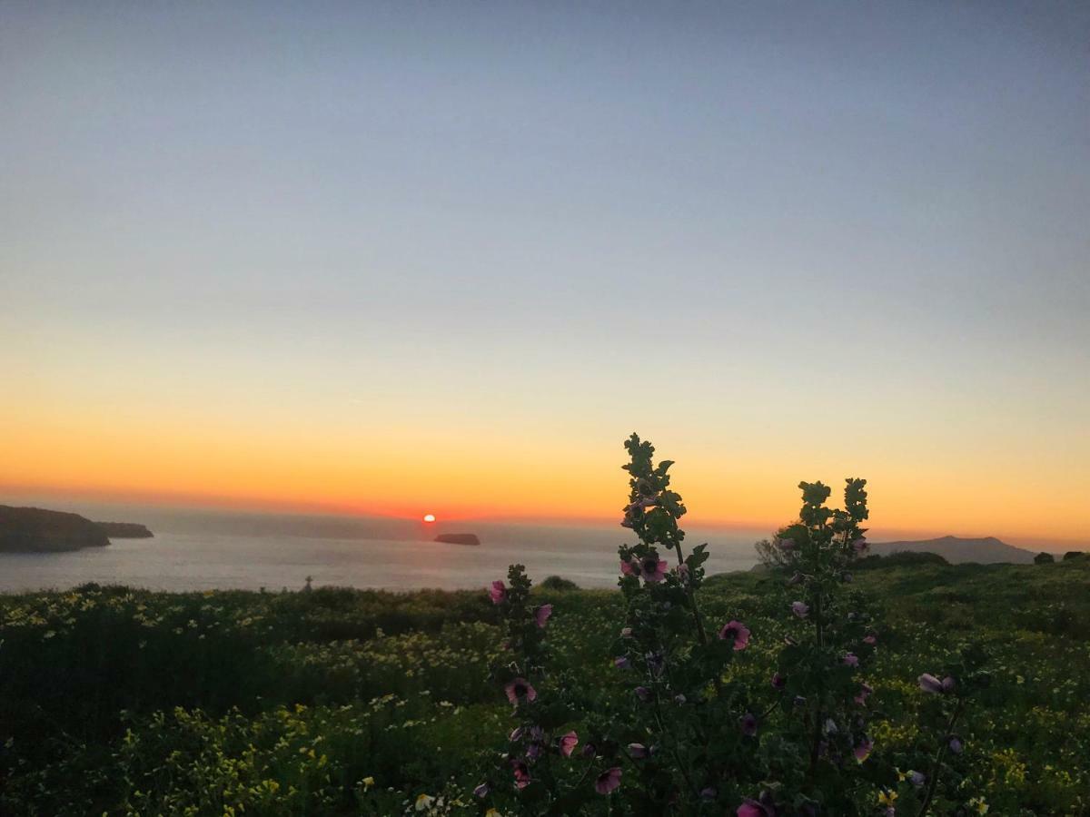 Caldera Sunset Villa Megalochori  Zewnętrze zdjęcie